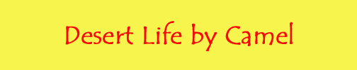 Desert Life by Camel