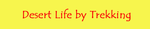 Desert Life by Trekking