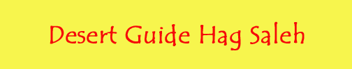 Desert Guide Hag Saleh